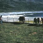 Lago di Montespluga - 1988