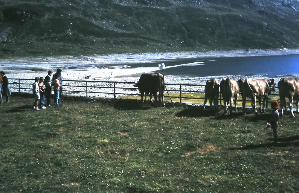 Lago di Montespluga - 1988