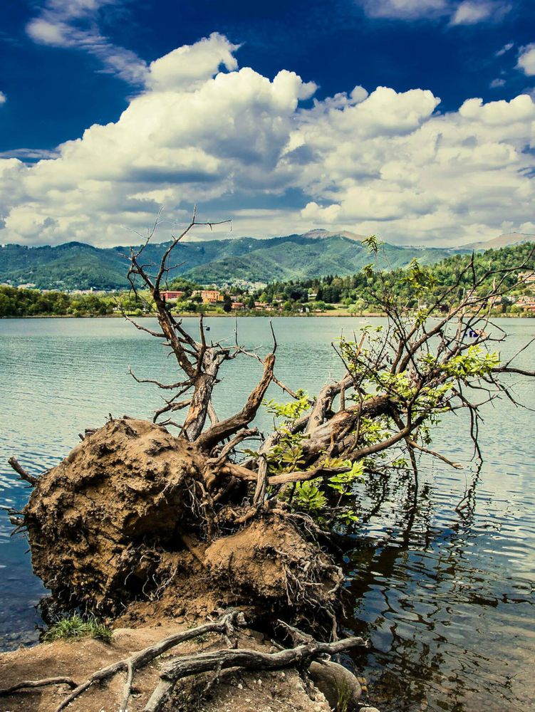 lago di montorfano (co)