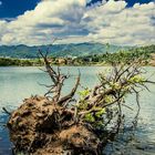 lago di montorfano (co)