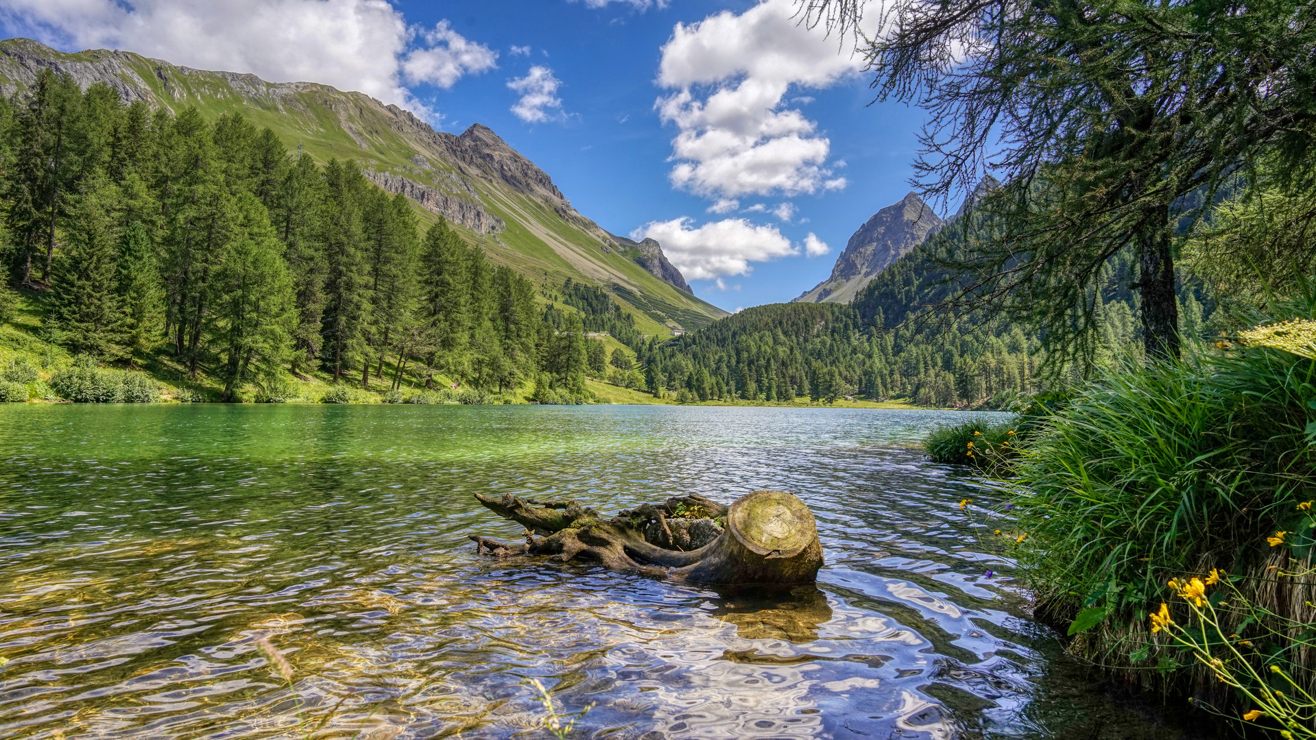 Lago di Palpuogna