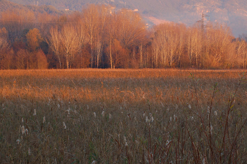 lago di porta