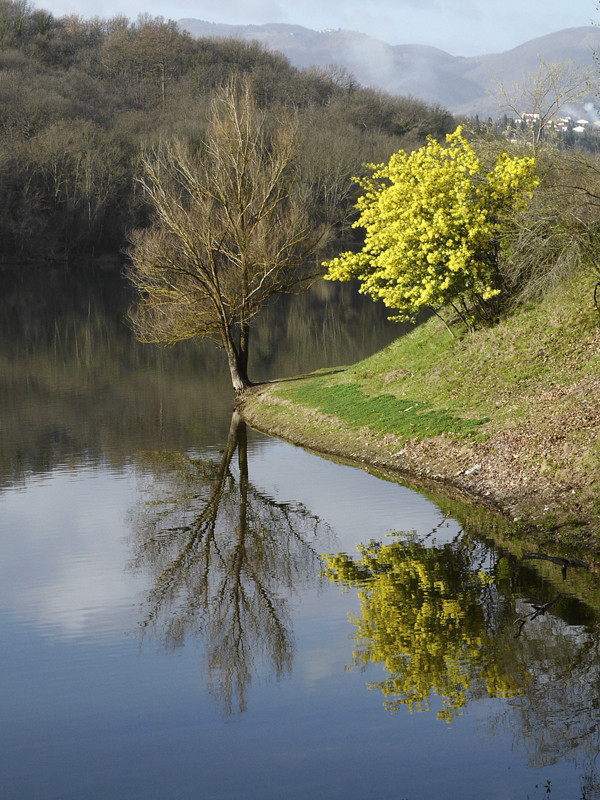 Lago di San Cipriano - 1