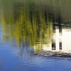 Lago di San Cipriano 5