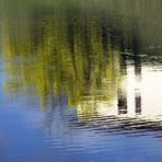 Lago di San Cipriano 5