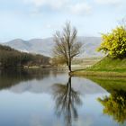 Lago di San Cipriano 6