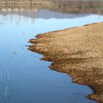 Lago di San Cipriano - Cavriglia -