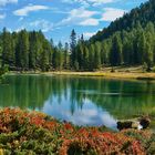 Lago di San Pellegrino - klein aber fein