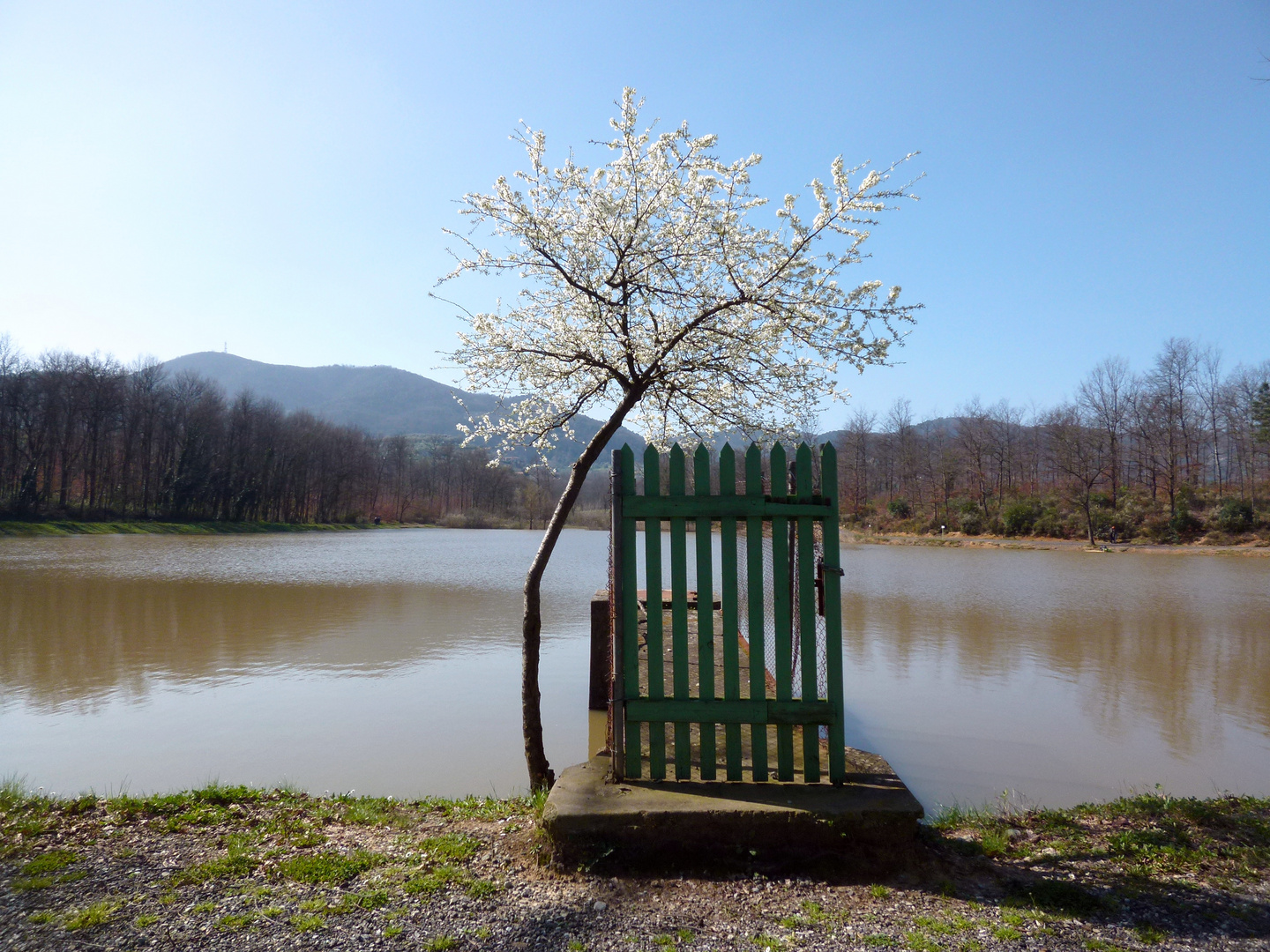 Lago di Santonuovo (Marzo 2014)