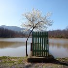 Lago di Santonuovo (Marzo 2014)