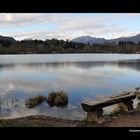 Lago di Sartirana