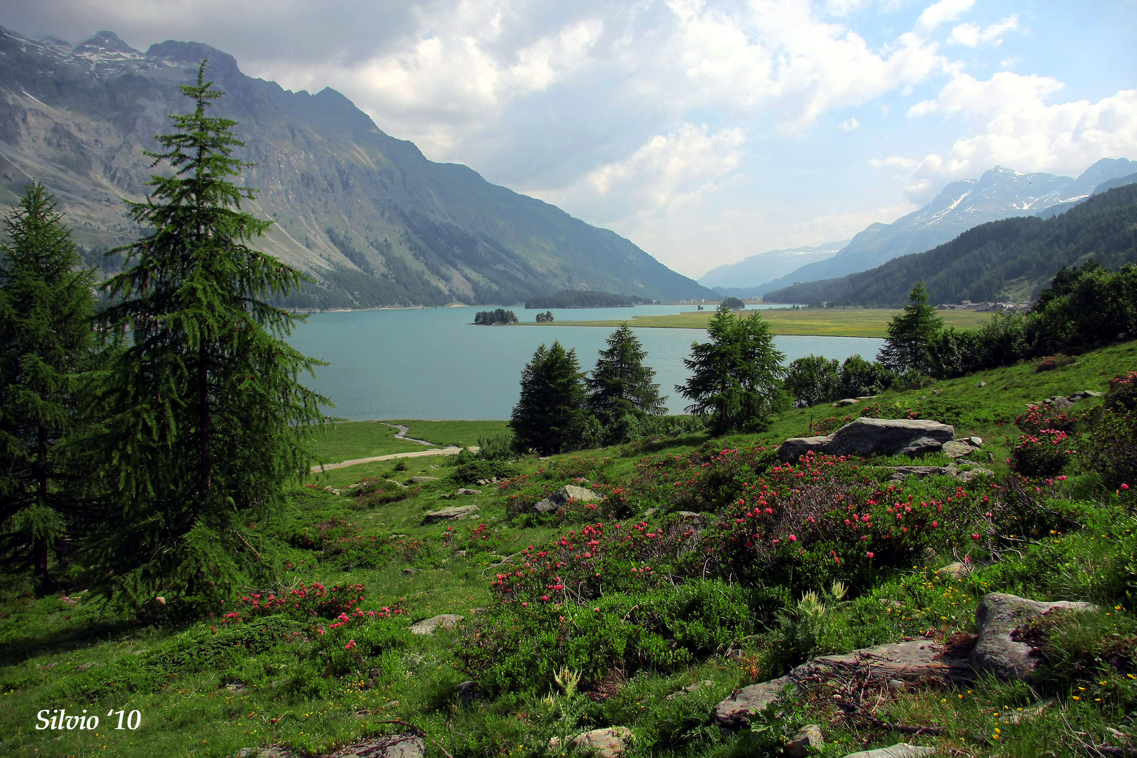 Lago di Sils