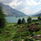 Lago di Sils