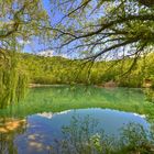 lago di sinizze "Abruzzo"