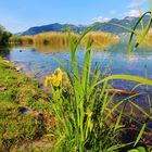 Lago di Thun a Gwatt