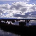 LAGO DI TITICACA (Perù)