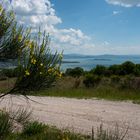 Lago di Trasimeno