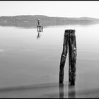 Lago di Trasimeno