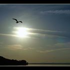 Lago di Trasimeno