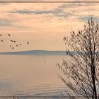 Lago di Trevignano