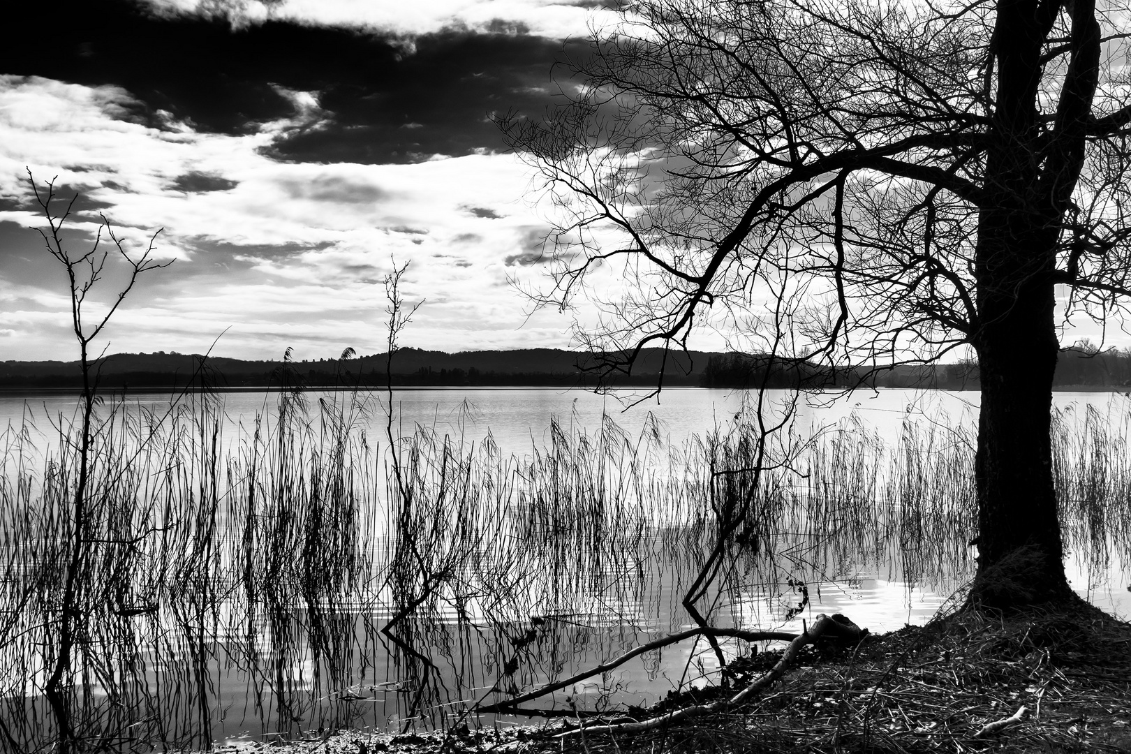 Lago di Varese