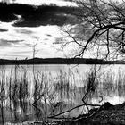 Lago di Varese