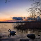 Lago di Varese