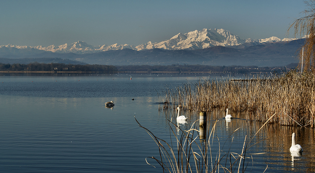 LAgo di Varese