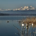 LAgo di Varese