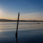 Lago di Varese