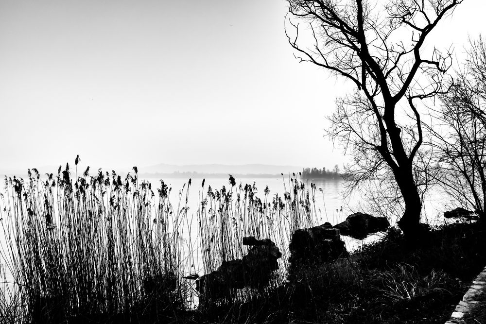 Lago di Varese