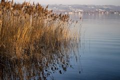 Lago di Varese