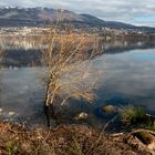 Lago di Varese