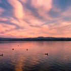 Lago di Varese