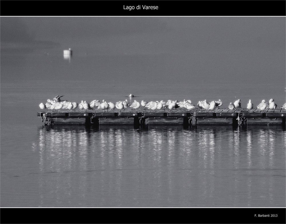 Lago di Varese