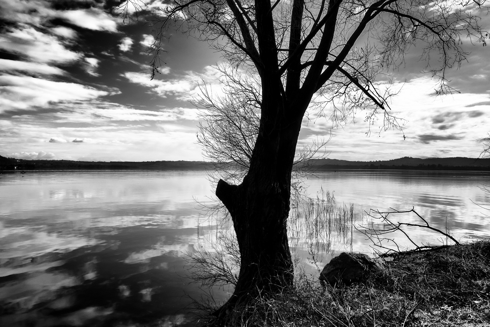 Lago di Varese, controluce