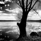 Lago di Varese, controluce