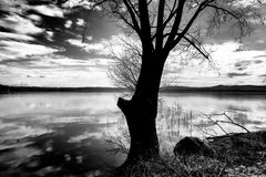 Lago di Varese, controluce