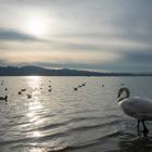 Lago di Varese, crepuscolo