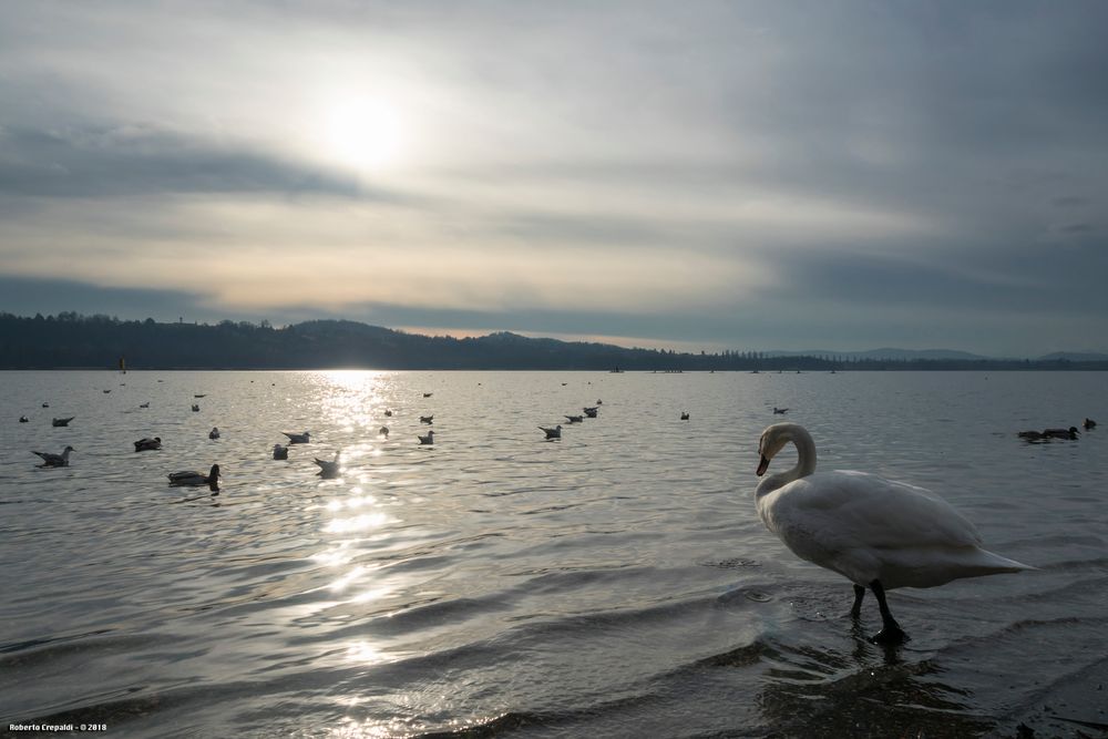 Lago di Varese, crepuscolo