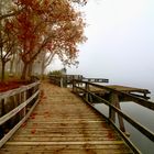 lago di Varese