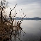 Lago di Varese