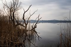 Lago di Varese