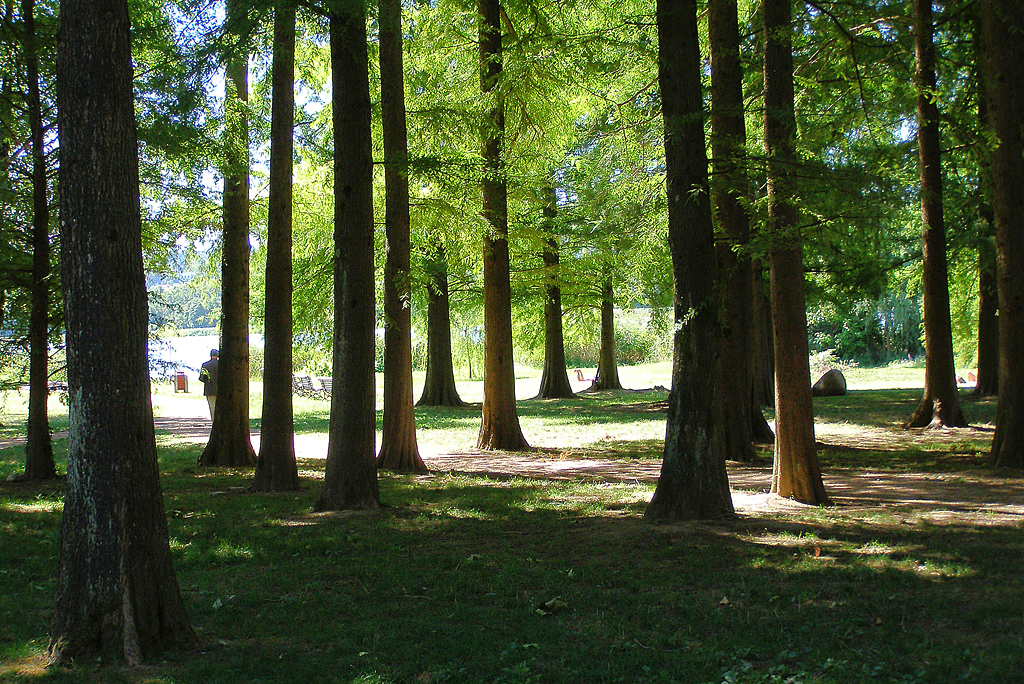 lago di Varese