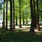 lago di Varese