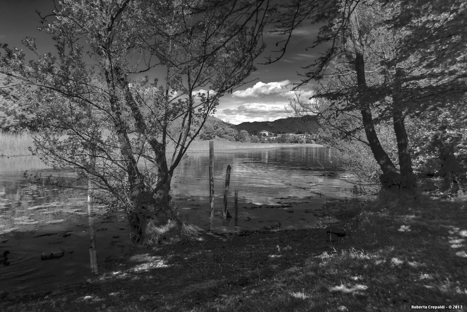 Lago di Varese, Isola Virginia