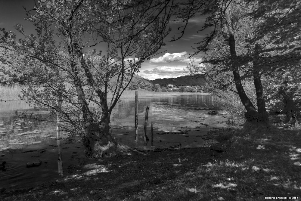 Lago di Varese, Isola Virginia