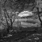 Lago di Varese, Isola Virginia