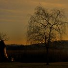 Lago Di Varese - Marzo 2012