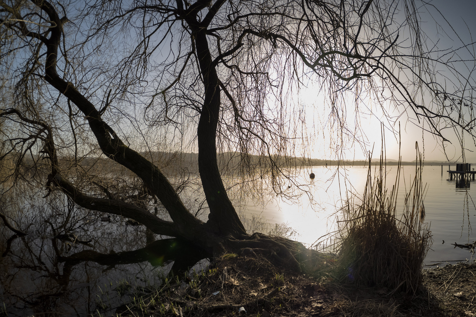 Lago di Varese, rami